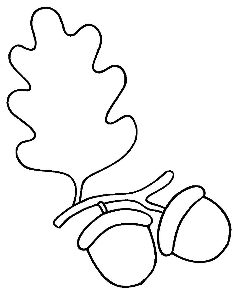Two acorns among the leaves coloring page